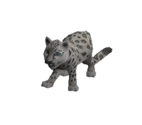 Shiro Pet.png