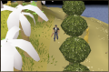 Thumbnail for version as of 08:22, 12 October 2022