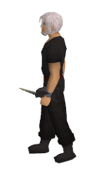 Avernic Defender Equipped.png