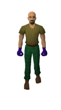 Cerberus Gloves (Mage) Equipped.png