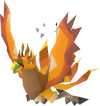 Phoenix (pet).png
