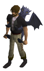 Purple Dragon Equipped.png