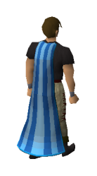 Beach Towel Cape Equipped.png