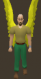 Yellow Wings.png