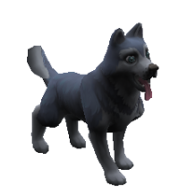 Duke Pet.png