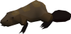 Beaver (pet).png