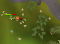 Chicken Zone.png