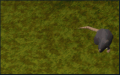 Thumbnail for version as of 13:10, 14 August 2025