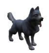 Duke (pet).png