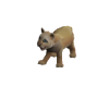 Simba (pet).png