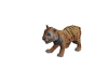 Felix (pet).png